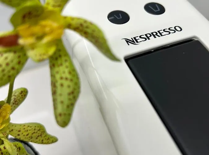 아파트 Nomad Apartment, By Bolhao Residences *